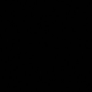 Meet your Posher, Harley